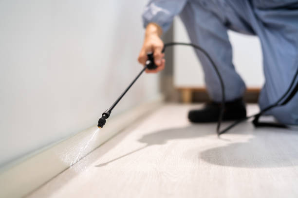 Bed Bug Pre-Treatment Preparation Assessment in Winooski