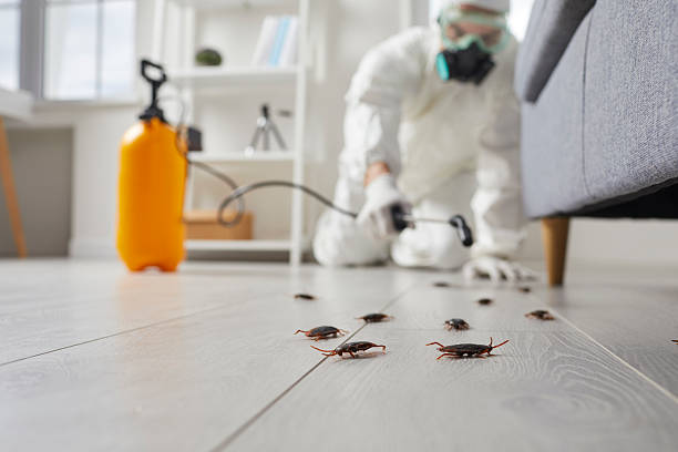 Post-Treatment Bed Bug Interceptor Monitoring in Winooski